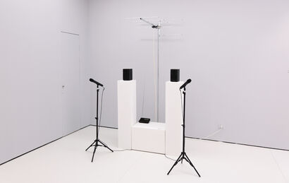 A Theme of Hacking - a Sculpture & Installation Artwork by Shan Lyu